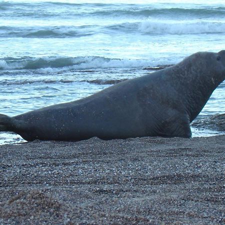 La Antonieta Estancia De Mar Дос-Посос Экстерьер фото