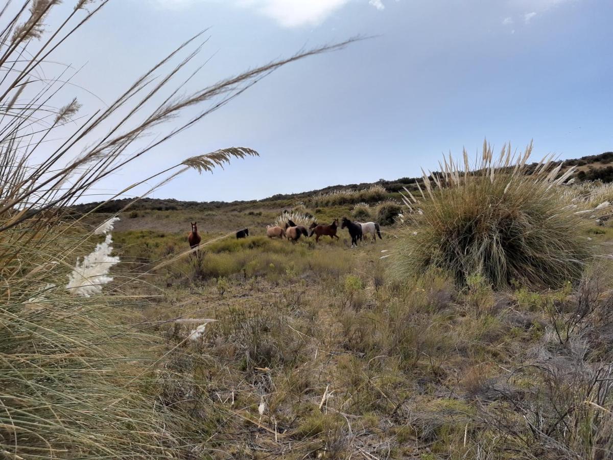 La Antonieta Estancia De Mar Дос-Посос Экстерьер фото